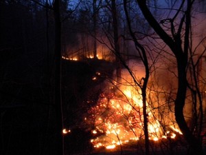 Fire_on_the_Mountain