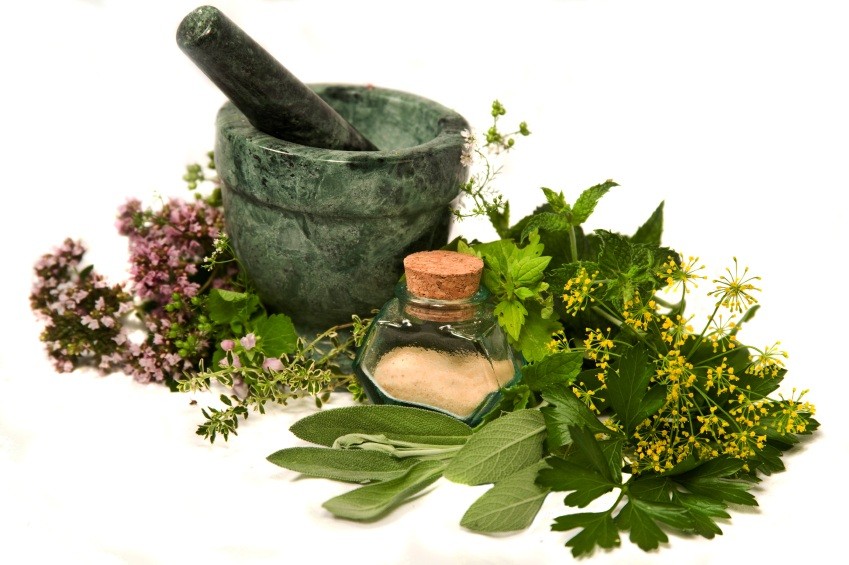 Medicinal-Herbs